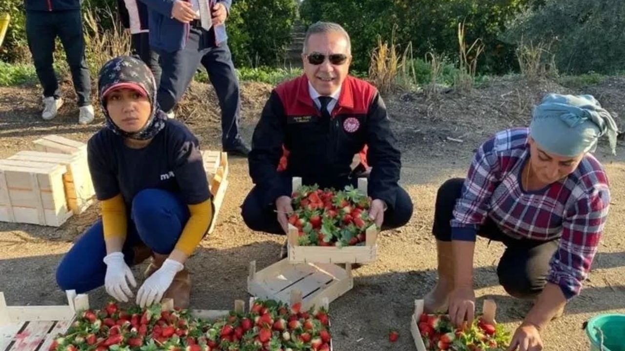 Aydın'da 2025'te tarımsal denetimler yoğunlaştı: 3 bin 600'ü aşkın kontrol, 6 milyon 708 bin 774,50 TL ceza