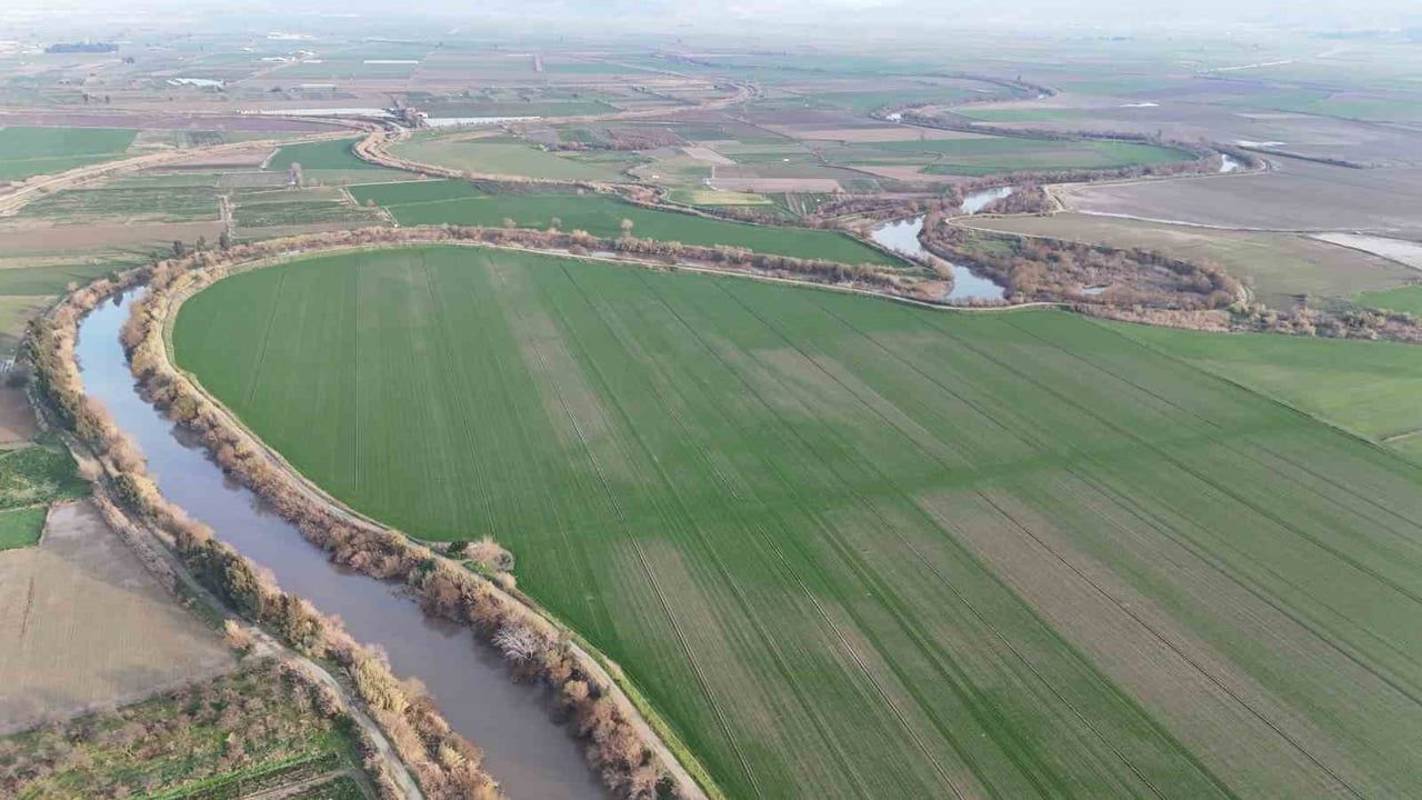 Aydın'da 2025'te zirai dondan etkilenen 1.322 üreticiye 54 milyon 524 bin 81 TL ödeme