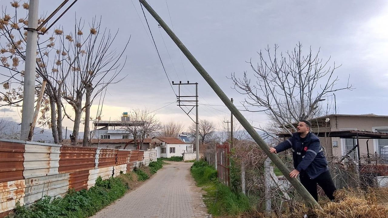 Aydın'da fırtına: Efeler'de devrilmek üzere olan çam ağacı kontrollü müdahaleyle kaldırıldı