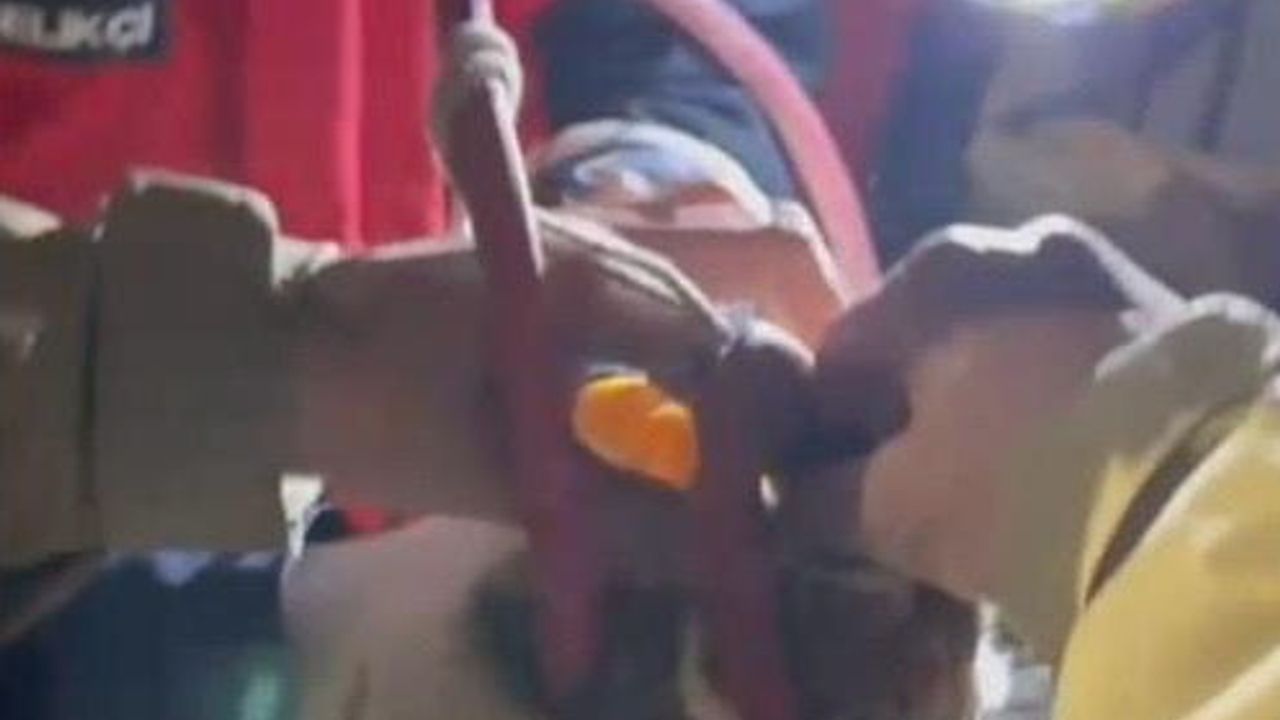 Ayvalık’ta su pompası deliğinde mahsur kalan yavru kedi itfaiye tarafından kurtarıldı