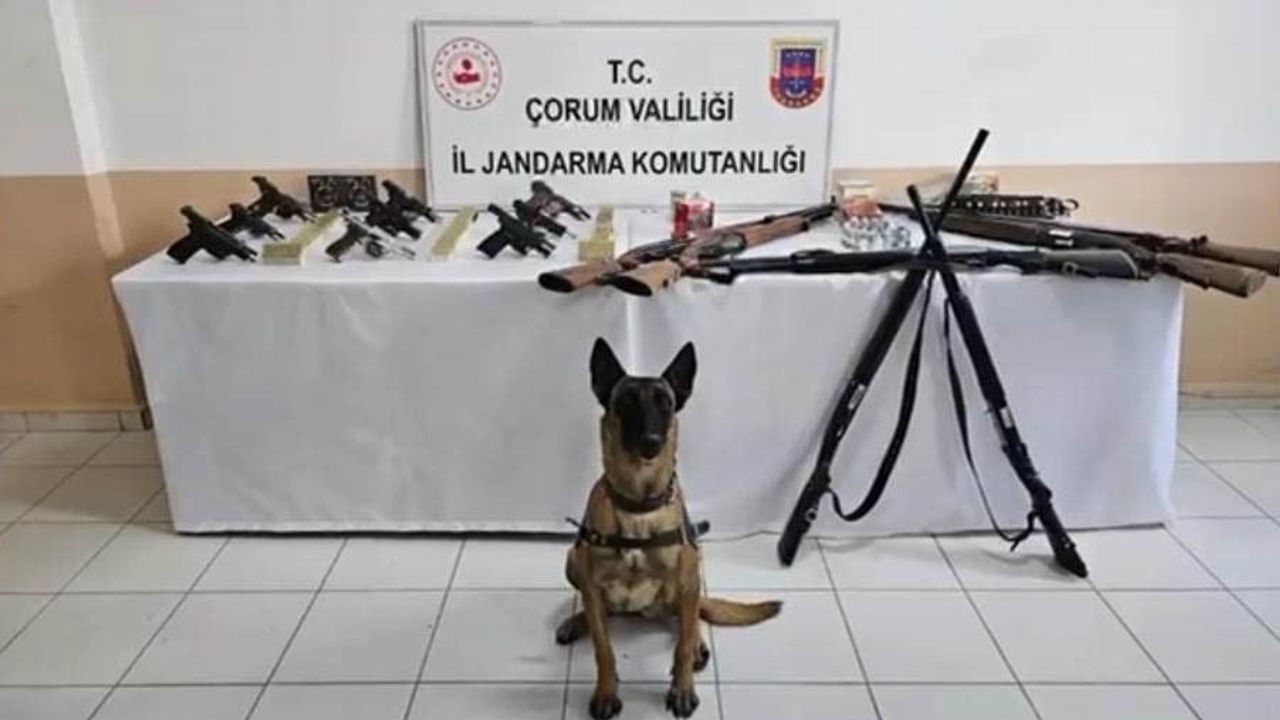 Bakan Yerlikaya: 14 il merkezli operasyonlarda 202 şüpheli yakalandı, 4 kaçak silah imalathanesi deşifre edildi