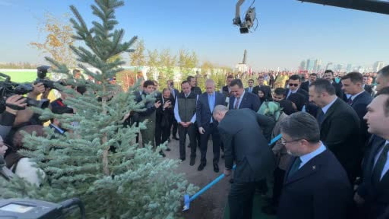 Bakan Yumaklı: 2025'te 517 milyon fidan ve tohum toprakla buluşturuldu