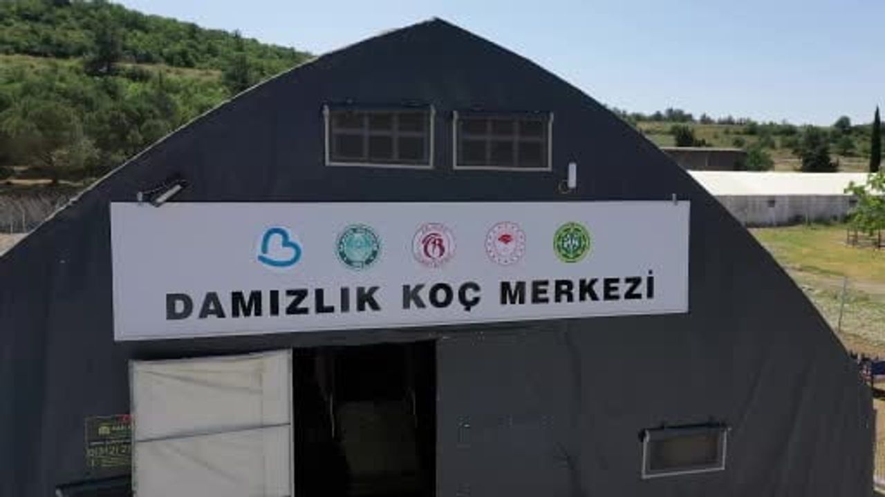 Balıkesir Büyükşehir’den Çiftçilere Yüzde 100 Hibeli Damızlık Desteği