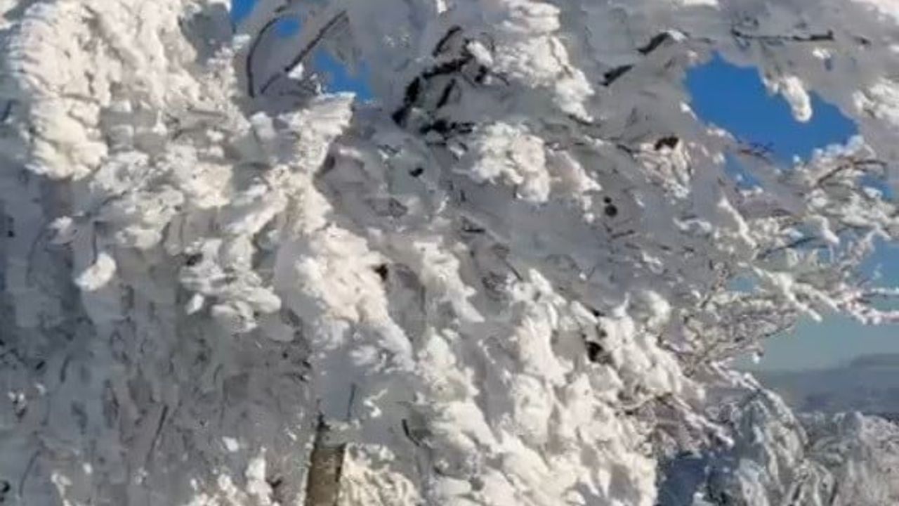 Balıkesir Susurluk'ta Çataldağ (bin 300 metre) Zirvesinde Donmuş Manzaralar