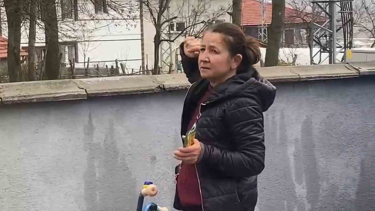 Bartın Gecen Köyü'nde yavru kedi bir haftadır ağaçta mahsur