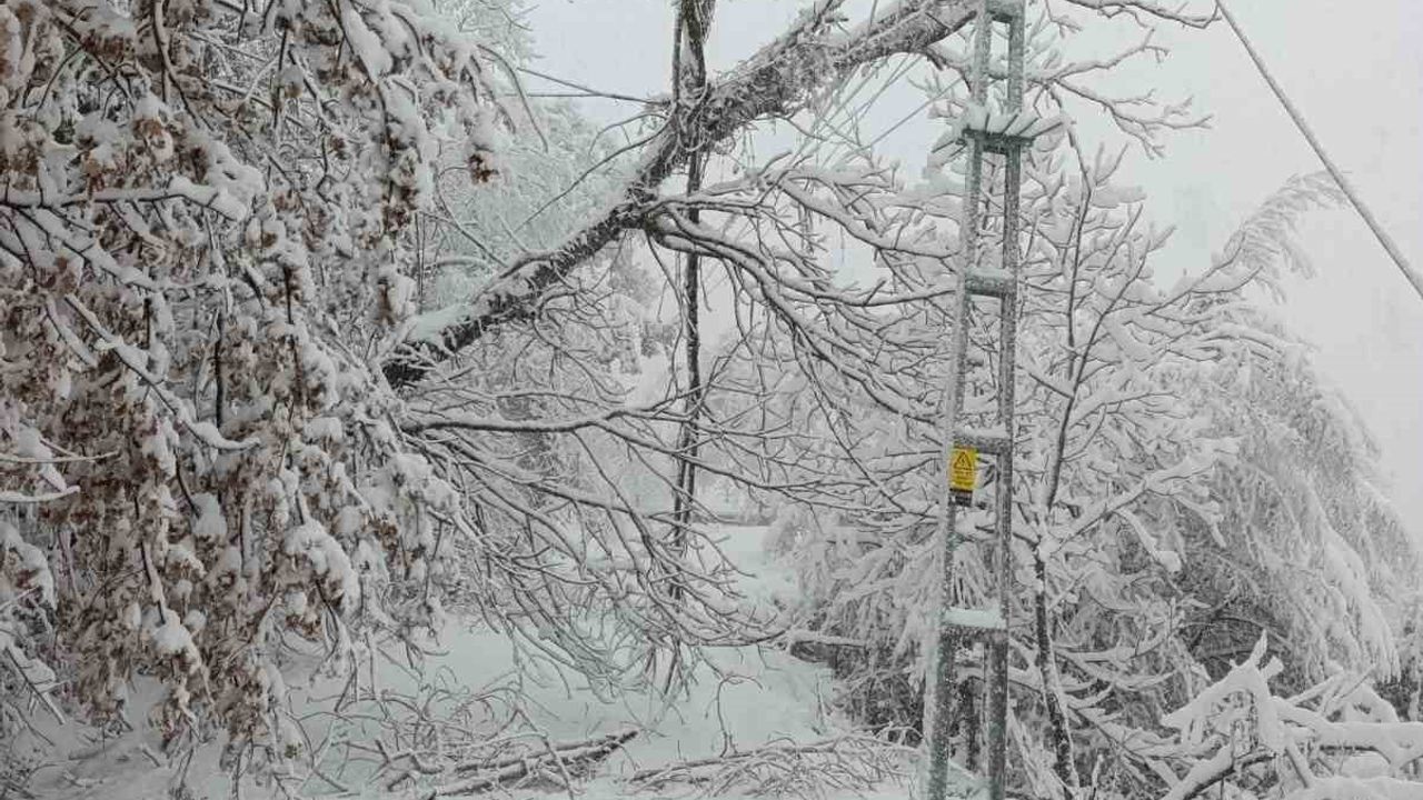Başkent EDAŞ, Batı Karadeniz'de Yoğun Karla Mücadelede 7/24 Sahada