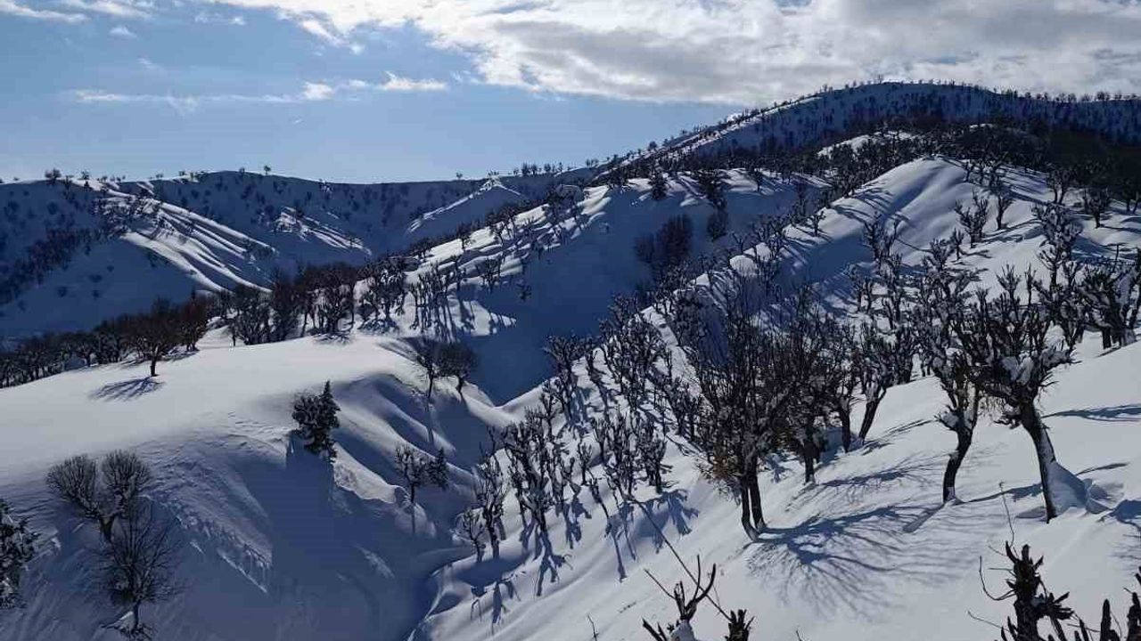 Batman'da 20 yılın en yoğun karı: Köy yolları açılıyor, çatılarda risk devam ediyor