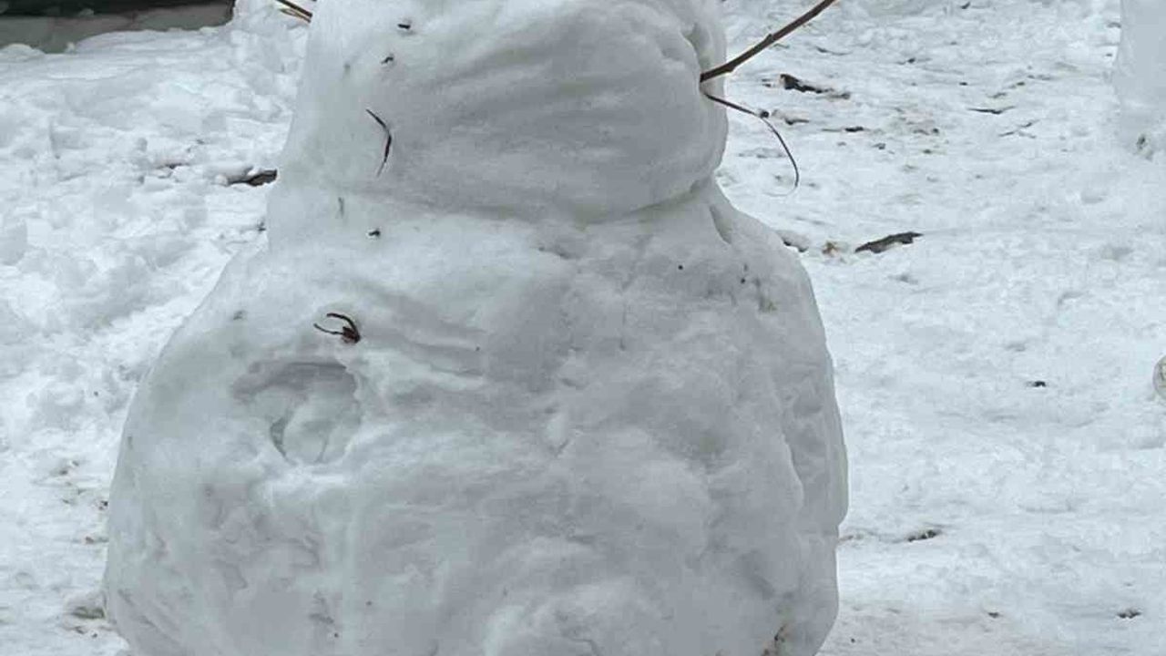 Batman’da kardan adamlar kentin simgesi haline geldi