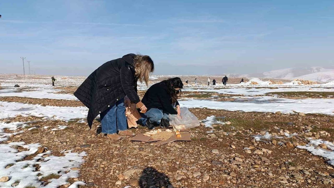 Batman'da sivil toplum kuruluşları yaban hayvanları için doğaya yem bıraktı