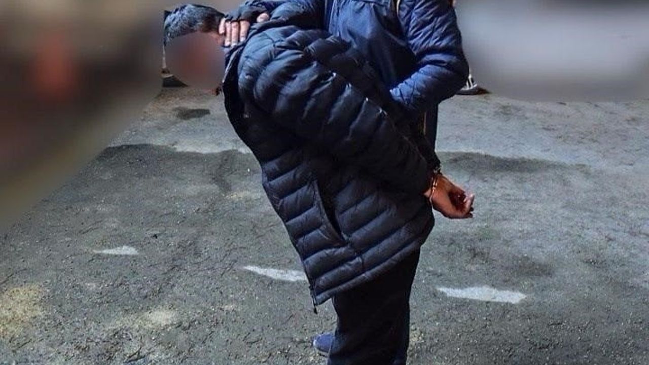 Batman'da terör propagandası: TEM ekipleri bir kişiyi gözaltına aldı