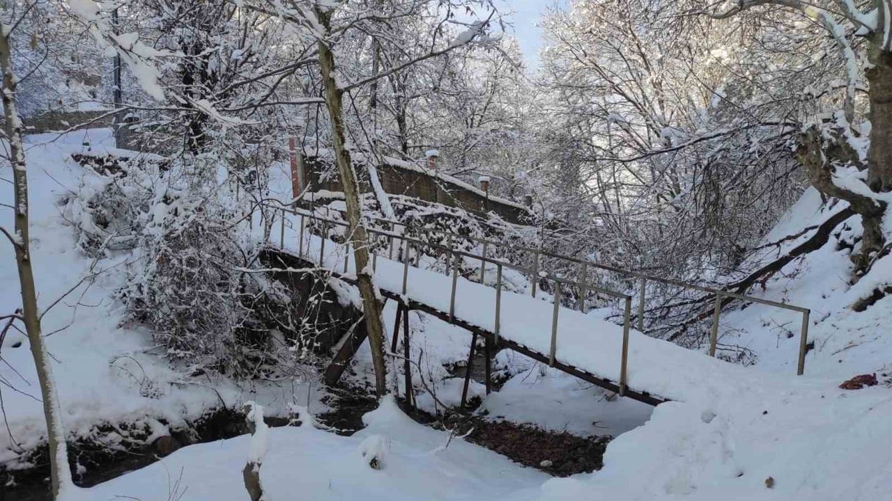 Batman’da üç gün süren kar yağışı hayatı olumsuz etkiledi, ormanlar beyaza büründü