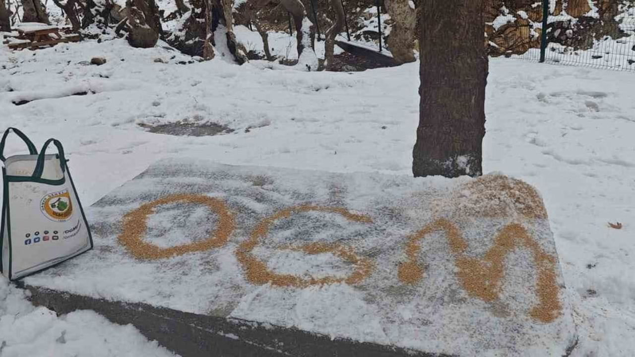Batman Orman İşletme Müdürlüğü kar yağışında yaban hayvanlarına yem bıraktı