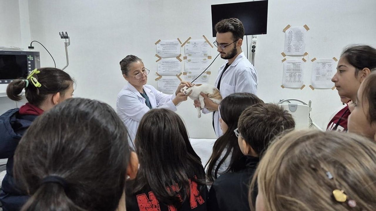 BAÜN Veteriner Fakültesi Hayvan Hastanesi 2025'te 2.996 hastaya hizmet sundu