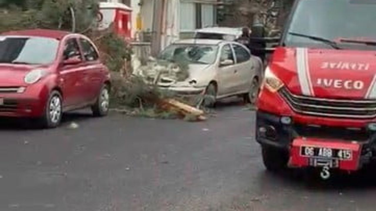 Beypazarı Ayvaşık Mahallesi'nde fırtına ağaç devrilmesine yol açtı; park halindeki araca hasar