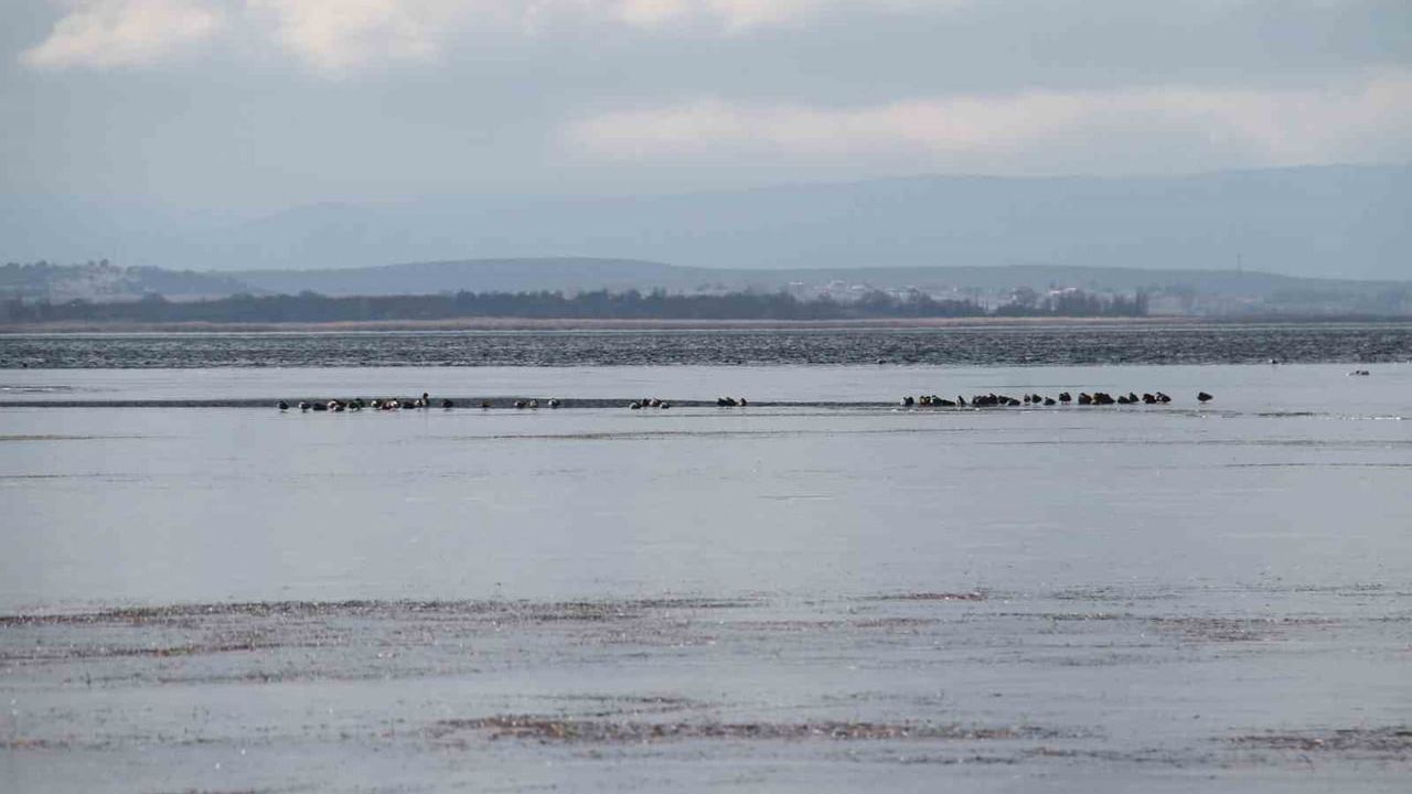 Beyşehir Gölü kıyıları dondu, balıkçılık faaliyetleri durdu