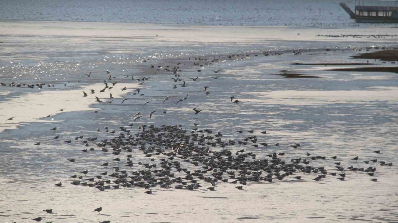 Beyşehir Gölü'nde kalın buz tabakası balıkçılığın seyrini değiştirdi