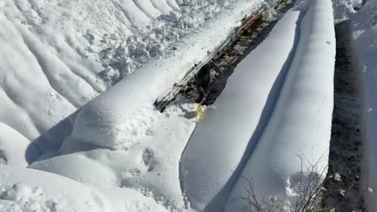Beytüşşebap'ta arıcıların kış mesaisi: 2 metre kar, eksi 20'lerde arı bakımı