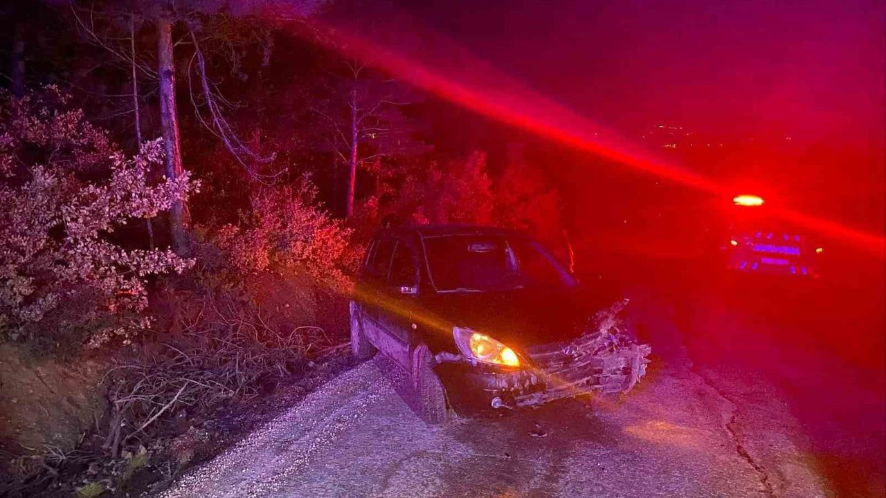 Bilecik Çakırpınar'da Kontrolden Çıkan Otomobil Ağaca Çarptı: 1 Yaralı