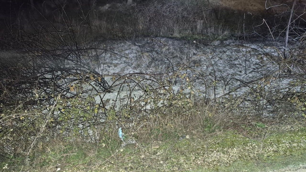 Bilecik'te Küçük Çaplı Ot Yangını Erken Müdahaleyle Söndürüldü