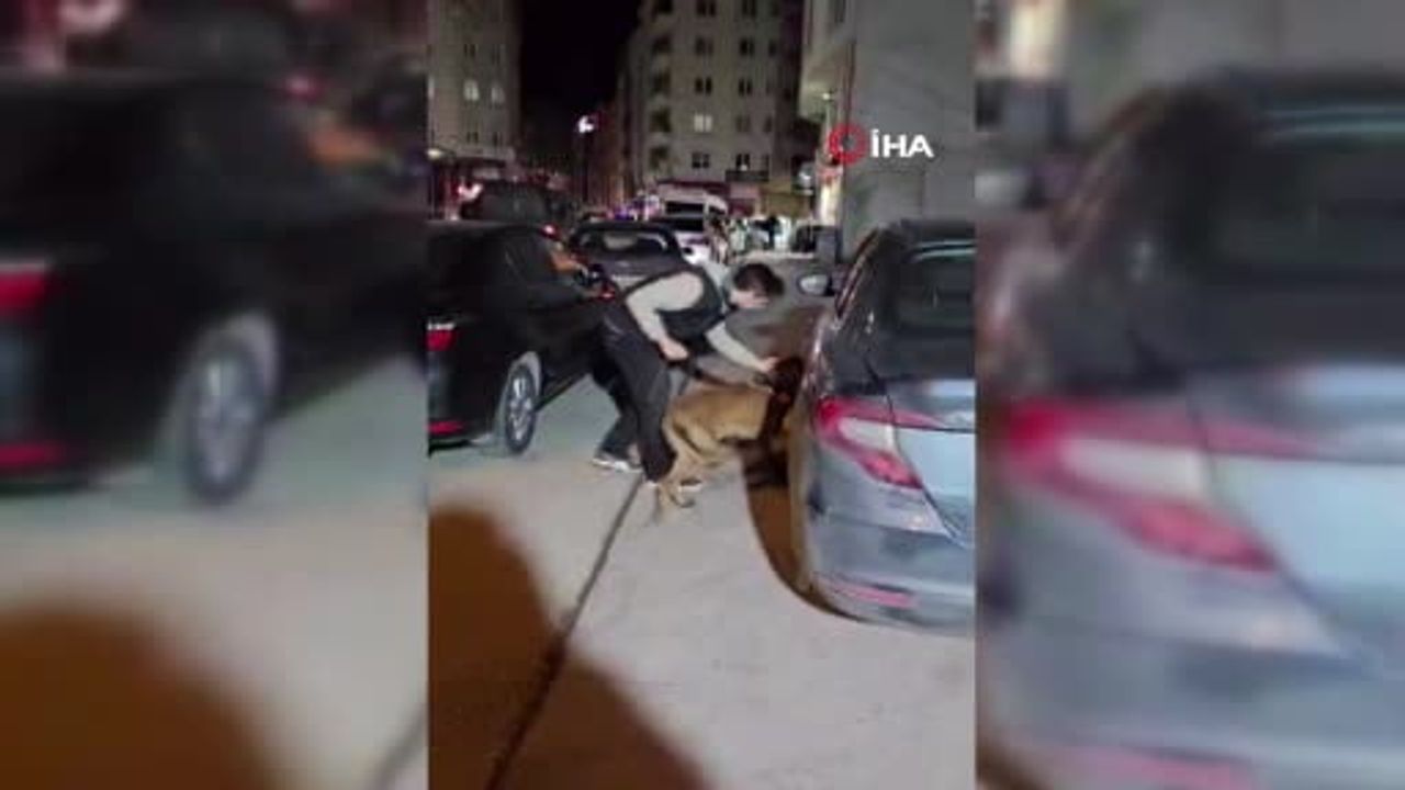 Bilecik’te otomobilde çadır içine saklanmış 220,52 gram 'Skunk' ele geçirildi