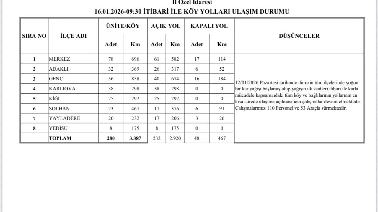 Bingöl'de Karla Mücadele: 232 Köy Yolu Ulaşıma Açıldı, 48 Yolda Çalışma Sürüyor