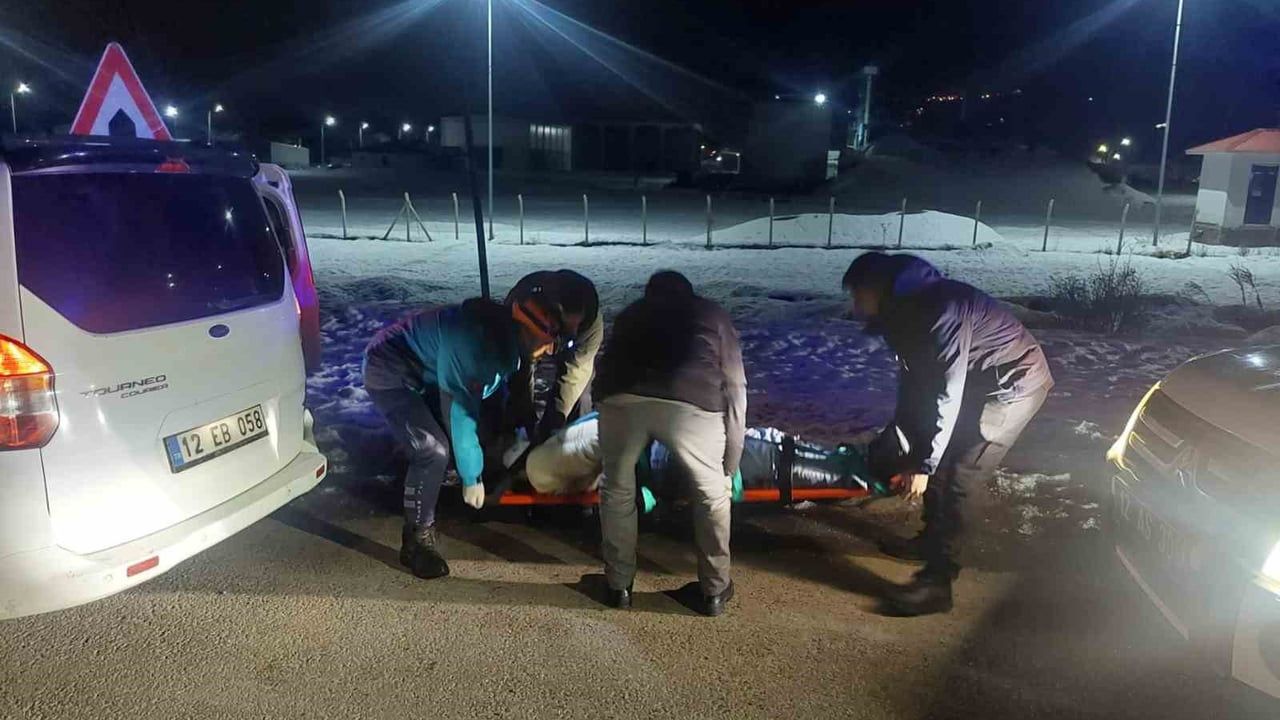 Bingöl-Muş Karayolunda Otomobil Domuz Sürüsüne Çarptı: 3 Yaralı