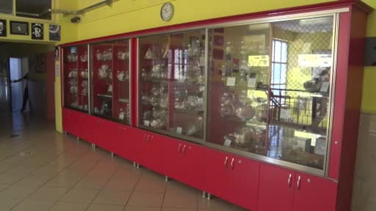 Bir yumurta merakı müzeye dönüştü: Ertuğrul Bostancı’nın Sivas’taki 500 parçalık biyoloji koleksiyonu