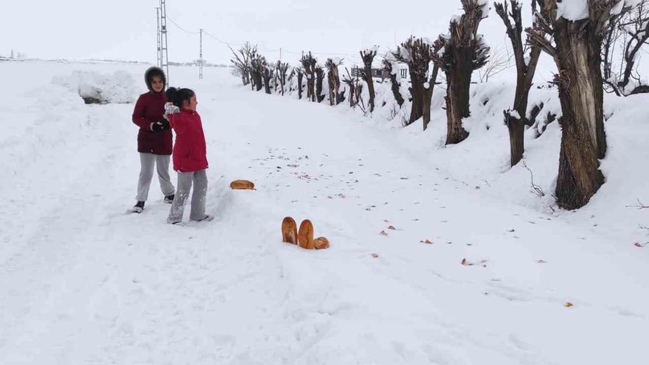 Bitlis'te iki kardeş, karne tatilinde yaban hayvanlarına yem bıraktı
