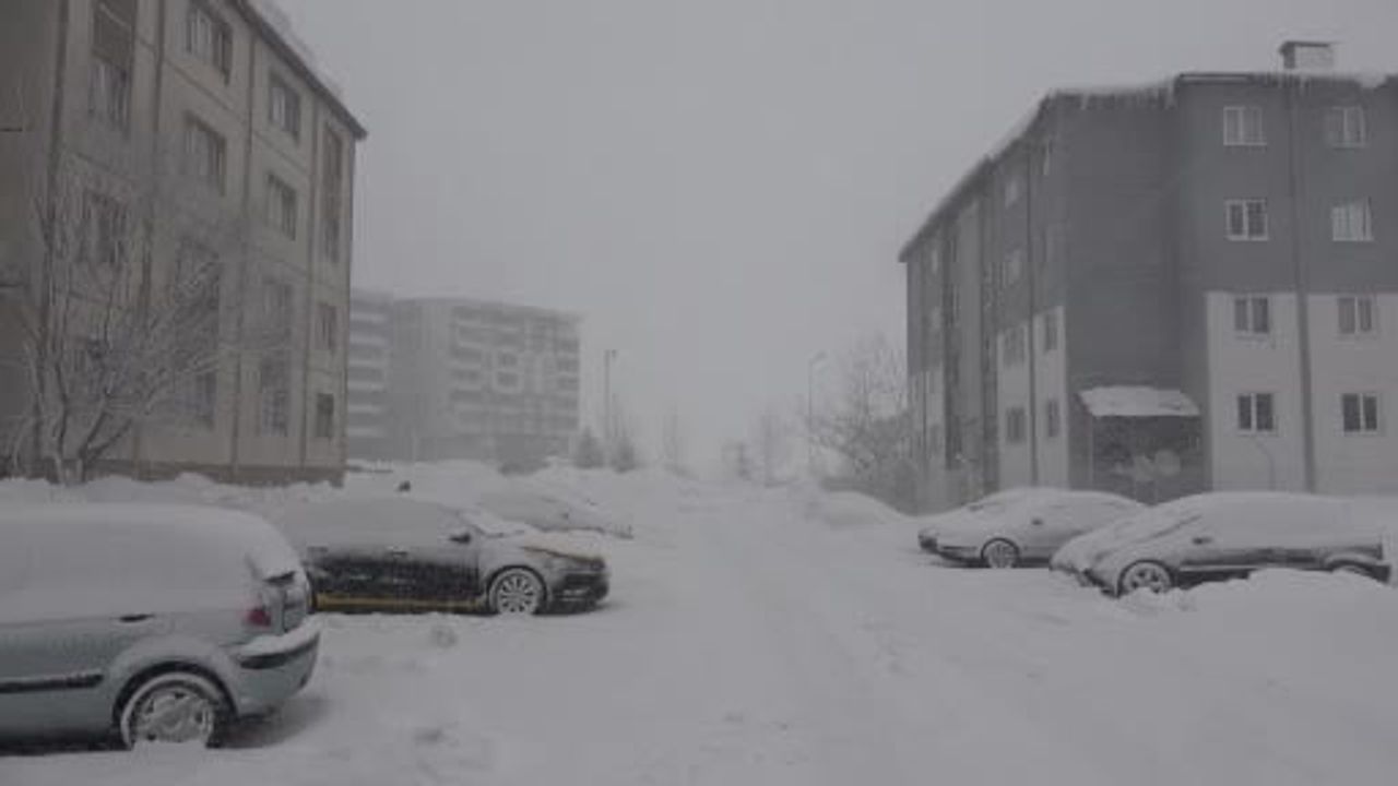 Bitlis'te Kar Yağışı 51 Köy Yolunu Kapattı, Eğitime 1 Gün Ara Verildi