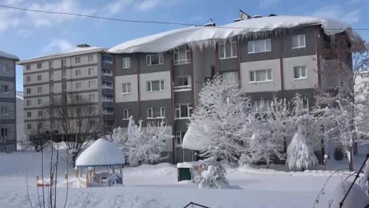 Bitlis'te yoğun kar yaşamı etkiledi: 172 yerleşim yerine ulaşım sağlanamıyor