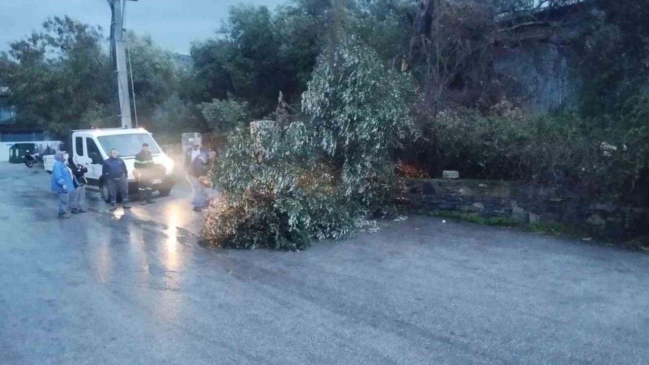 Bodrum'da Fırtına Etkili Oldu: Ağaçlar Devrildi, Tekneler Su Aldı