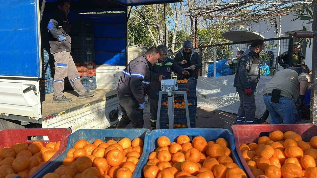 Bodrum Mandalini, yeni satış ve dağıtım stratejileriyle Türkiye'ye yayılıyor