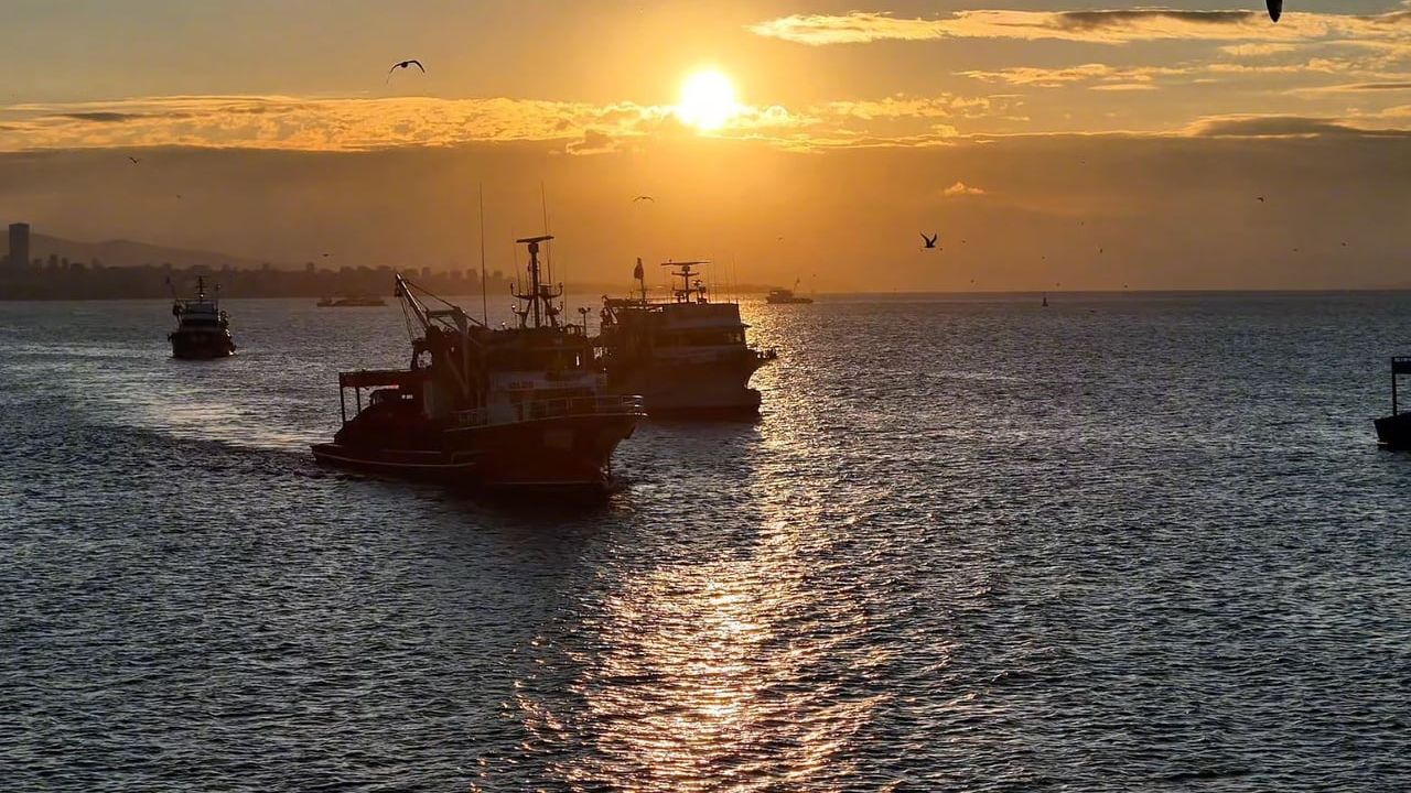 Boğaz’da fırtına sonrası balıkçılar gün doğumunda yeniden denize açıldı
