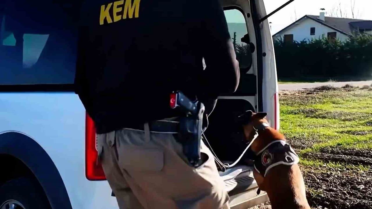 Bolu’da 14 Adrese Uyuşturucu Operasyonu: 3 Kişi Tutuklandı