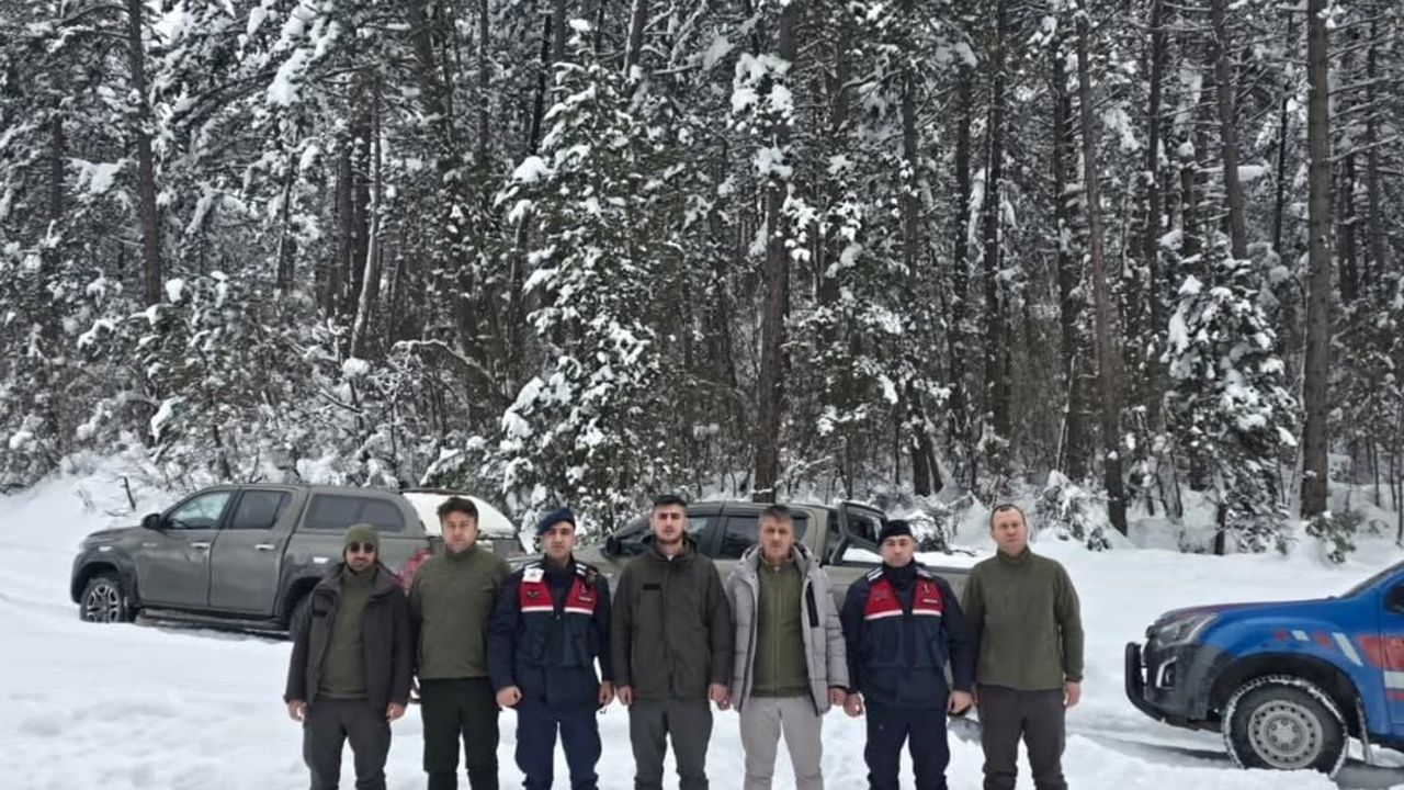 Bolu'da kaçak avcılıkla mücadele sürüyor