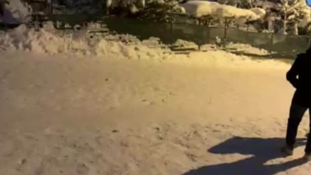 Bolu’da uzatılan tatilde çocuklar şambrellerle gece boyu karın tadını çıkardı