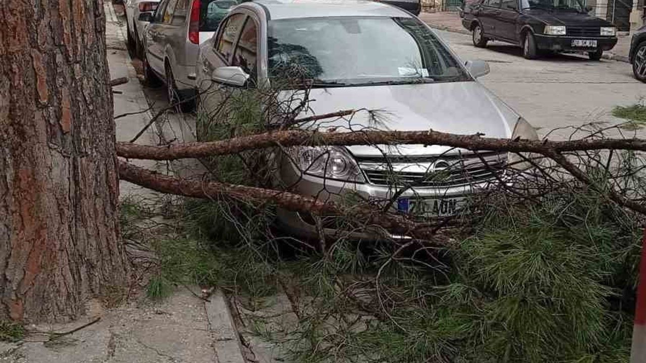 Buldan'da gece etkili fırtına ağaçları devirdi, bacaları uçurdu