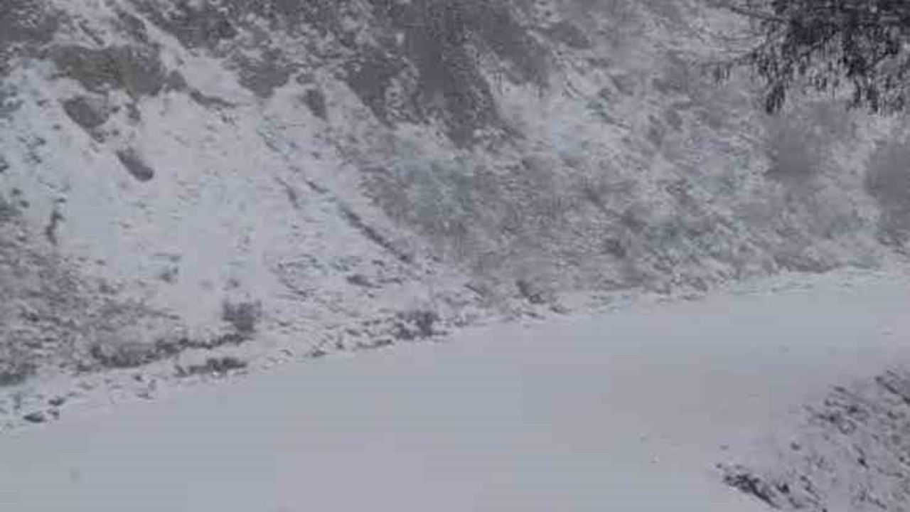 Buldan'da geçen yaz yanan orman sahası karda beyaza büründü