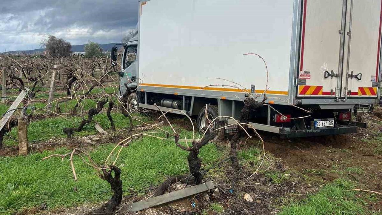 Buldan'da kamyon yağış sonrası kontrolden çıkarak üzüm bağına girdi