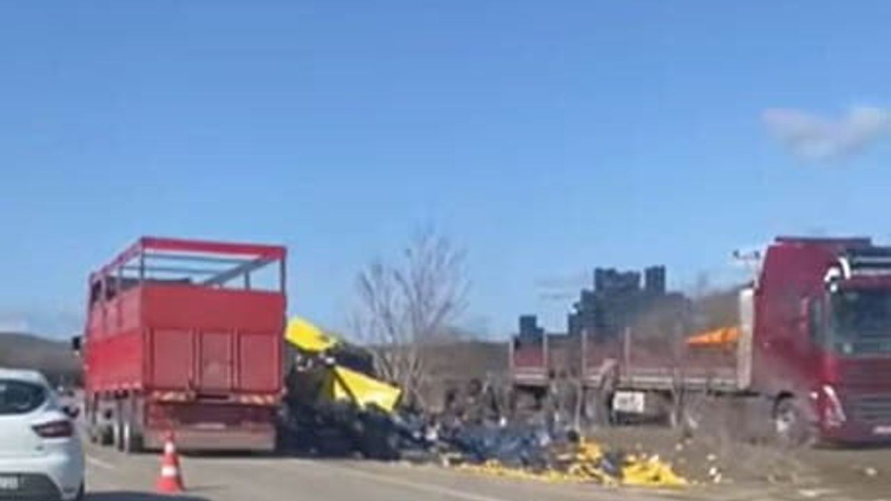 Burdur Çavdır'da limon yüklü tır şarampole devrildi — yaralanma yok