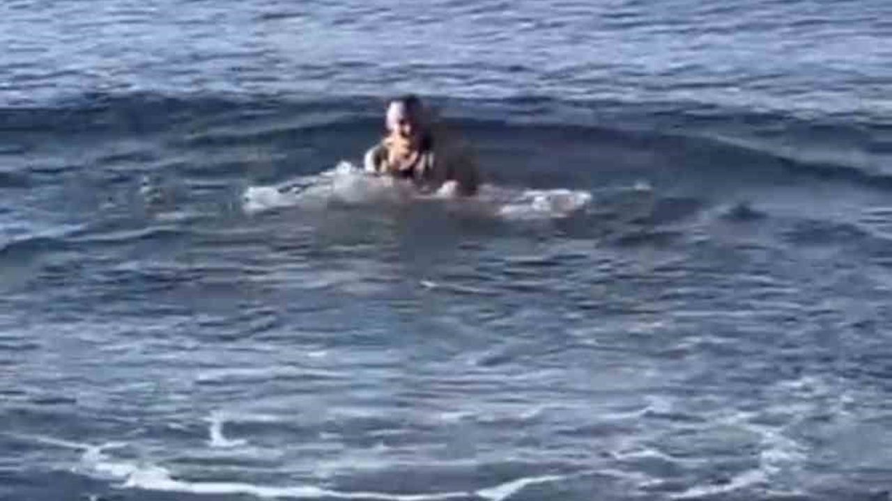 Bursa'da kar altında deniz keyfi: Mudanya ve Gemlik'te vatandaşlar denize girdi