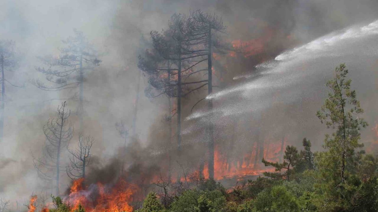 Bursa’daki orman yangını soruşturmasında FETÖ’den ihraç astsubaya 15 yıl hapis talebi