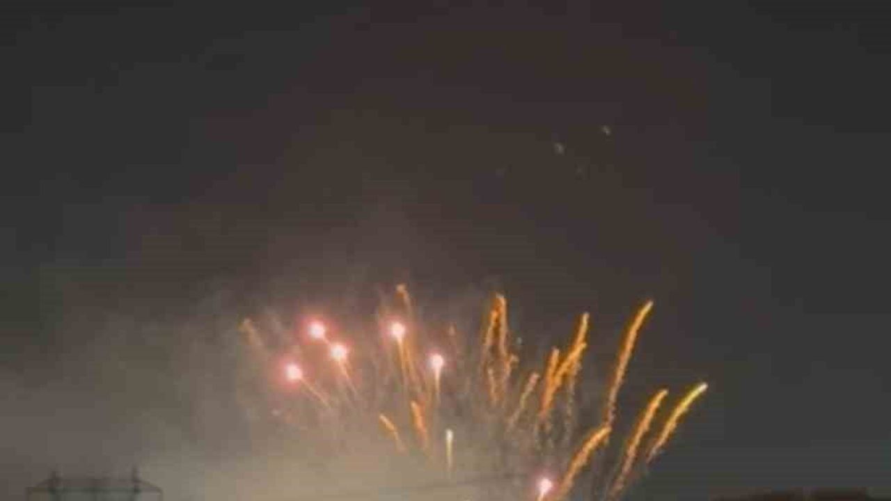 Bursa Nilüfer'de Yılbaşı Havai Fişekleri Kuşları Olumsuz Etkiledi; Uzmanlar Doğa Dostu Alternatifleri Öneriyor