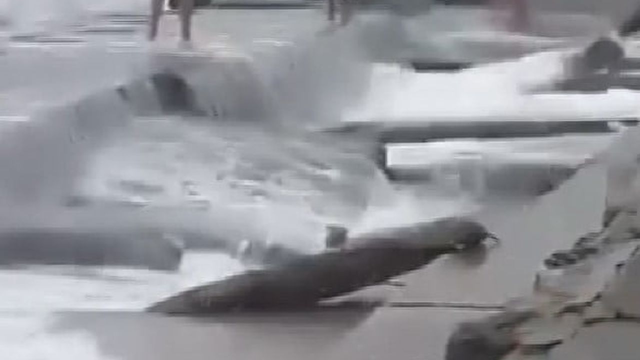 Caddebostan Sahili'nde lodos nedeniyle 3 kişi kayalıklara çarparak yaralandı