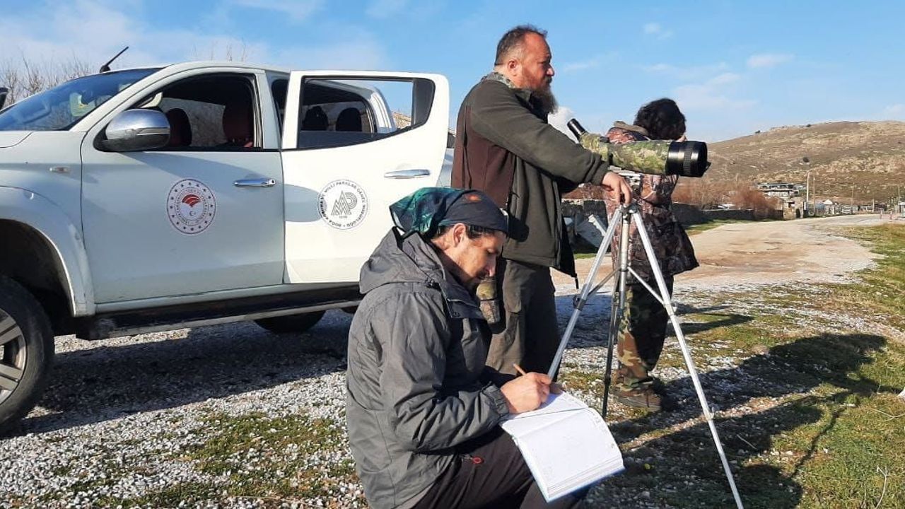 Çanakkale'de 2026 Kış Ortası Su Kuşu Sayımları: 53 Tür, 15 bin 813 Birey