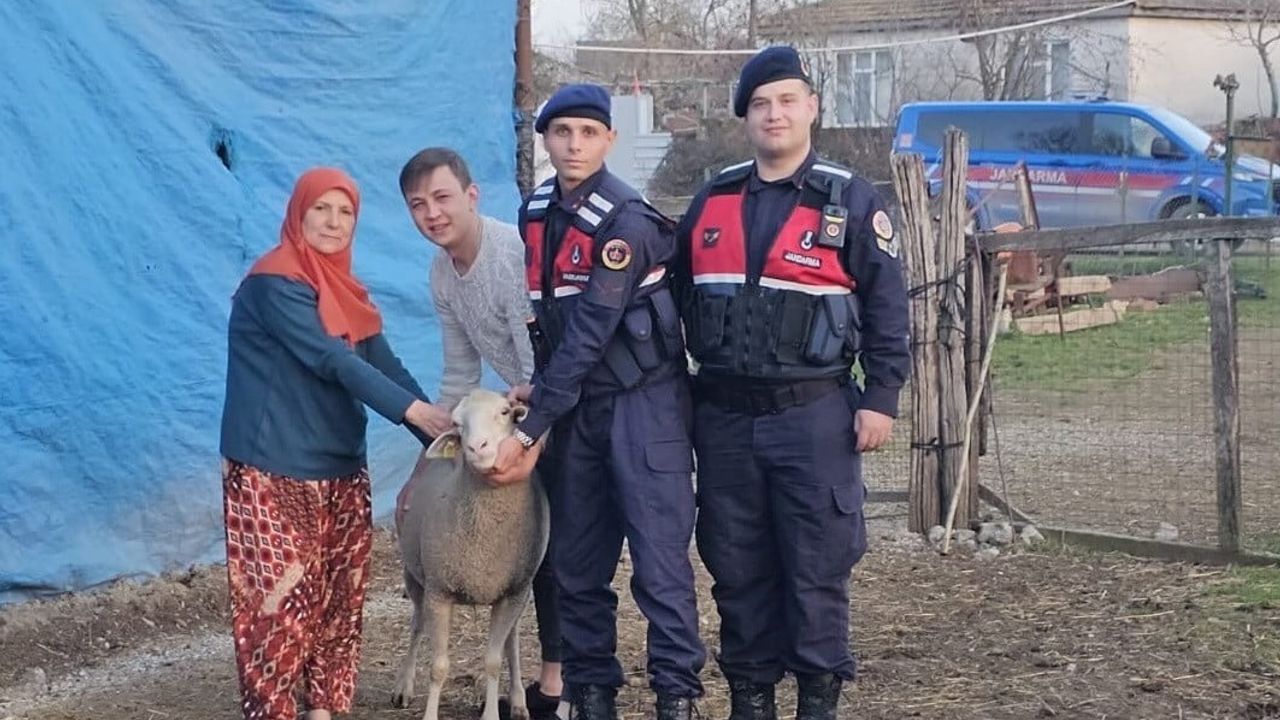 Çanakkale’de kaybolan 24 küçükbaş hayvan jandarma tarafından bulunup sahibine teslim edildi