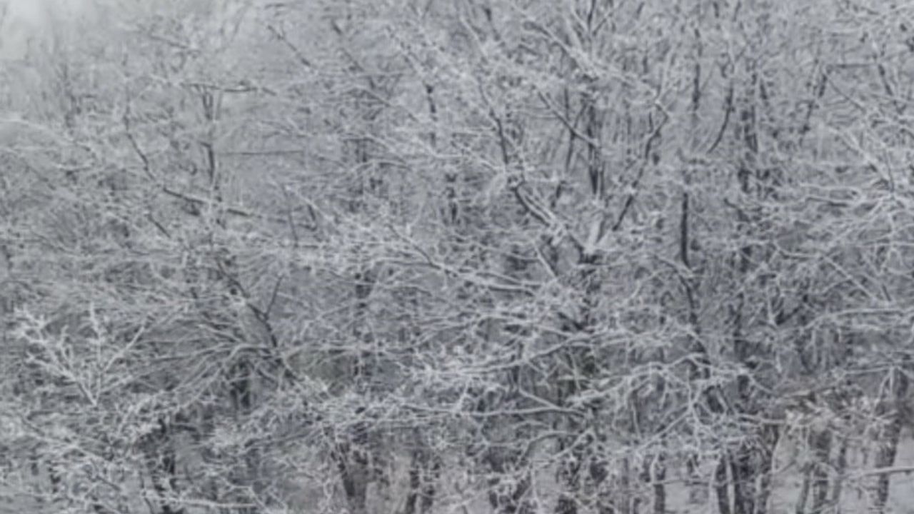 Çanakkale'de yüksek kesimler beyaza büründü: Yenice, Çan ve Lapseki'de kartpostallık görüntüler