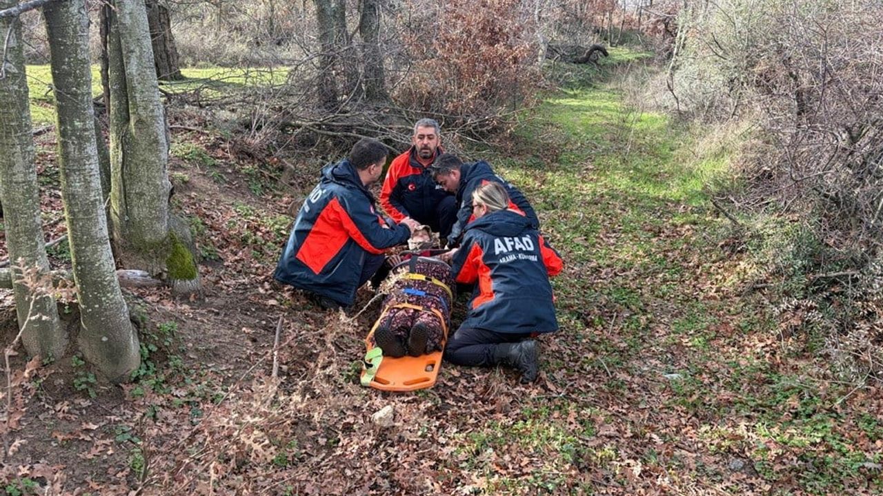 Çanakkale Ezine'de kaybolan 80 yaşındaki demans hastası AFAD ve jandarma tarafından sağ bulundu