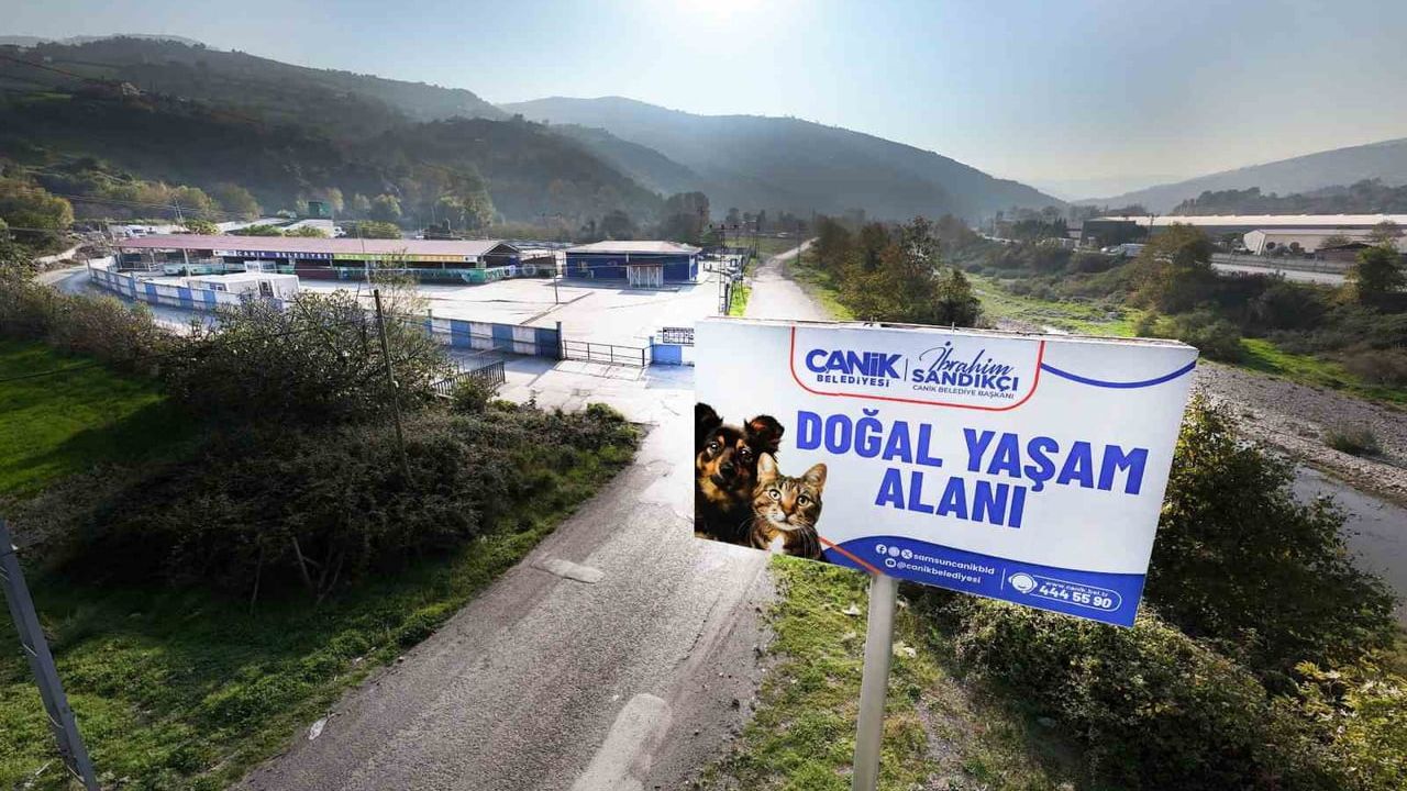 Canik Belediyesi Doğal Yaşam Alanı sokak hayvanlarına bakım, rehabilitasyon ve sahiplendirme sağlıyor