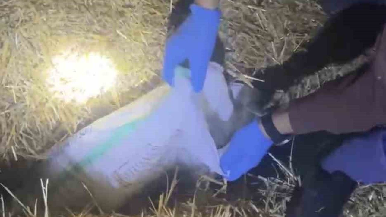 Çarşamba'da jandarma operasyonunda 6 kilo 230 gram kubar esrar ele geçirildi